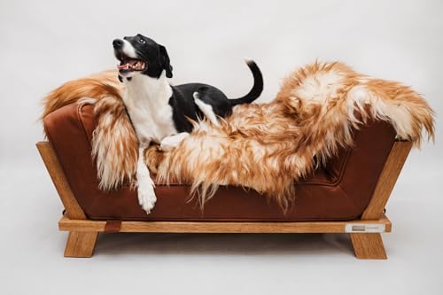 WeirdChairs Elite Oak Pawsidence Hundebett, luxuriös, handgefertigt von WeirdChairs