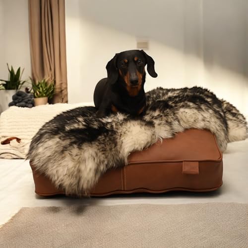 WeirdChairs Luxuriöses, handgefertigtes Hundebett – Sable Luxe Hundeliege von WeirdChairs