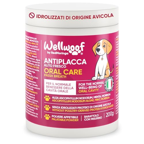 Nahrungsergänzungsmittel zur Zahnreinigung für Hunde | Pulver zur Entfernung von Zahnstein | mit Algen Ascophyllum nodosum (75%), Moringa und Pfefferminze | ohne künstliche Zusätze | 250 g - Wellfoof von Wellwoof