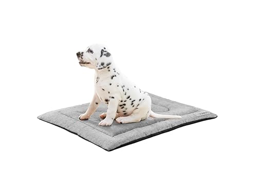 Welsti - Hundebett mittelgroße Hunde - Hundematte - Hundekissen - Anti Rutsch Boden - Hundezubehör - Wasserabwaisend Beschichtung - Hundebett Waschbar - Tragbare - Hundematratze - M 70x50 cm - Grau von Welsti