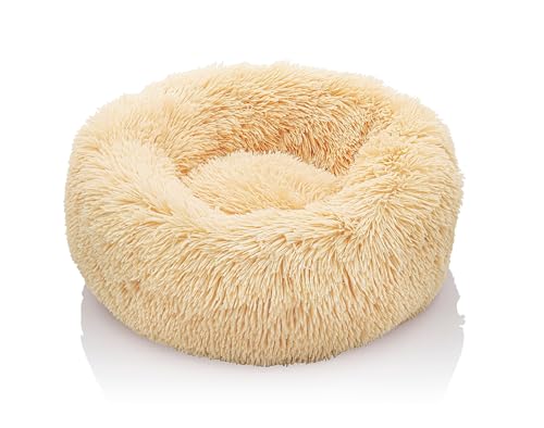 Weltbild Hundeund KatzenbettFlauschiges und weiches Hunde& Katzenbett, 50 cm beige, für mittelgroße & kleine Tiere, rundes Design von Weltbild