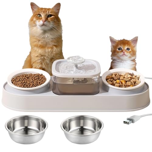 Wenbones Katzennapf Erhöht Futternapf Katze, Fressnapf und Wassernapf für Katzen und kleine Hunde, Katzenbrunnen für Katzen, Ergonomischer 15°Gekippte Katzen Hundenapf,Bring 4 Schalen mit (Grau) von Wenbones