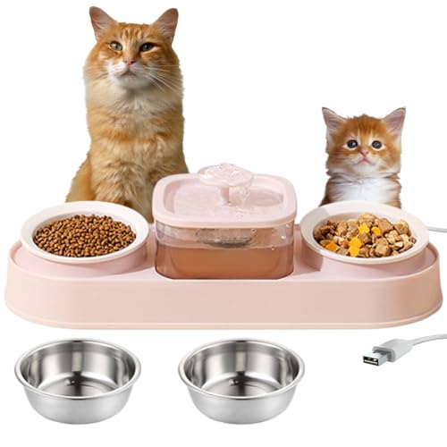 Wenbones Katzennapf Erhöht Futternapf Katze, Fressnapf und Wassernapf für Katzen und kleine Hunde, Katzenbrunnen für Katzen, Ergonomischer 15°Gekippte Katzen Hundenapf,Bring 4 Schalen mit (Rosa) von Wenbones