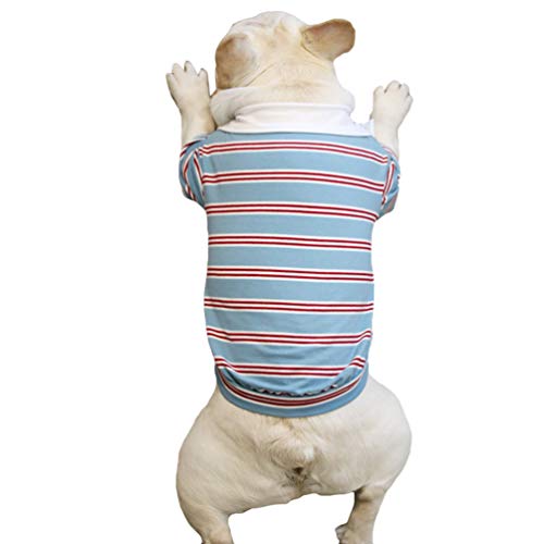 Wenchuang Hund Sommer Kleidung Welpen Gestreiftes Poloshirt Cute Kurzarm Haustierpullover Hundebekleidung Hundeshirts (Blau, Asia 2XL) von Wenchuang