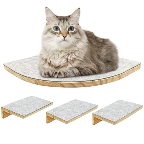 Kletterwand für Katzen, 4 Katzentreppen, Wandliege, Katzenbett Wandmontage, Katzenkletterwand, Katzentreppenwand, Katzenhaus für Katzen zum Spielen, Klettern, Platz sparen von Wenosda