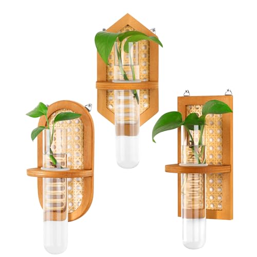 Wenqik 3 Stück Wandbehang Pflanzgefäß Terrarium Rattan Pflanze Anzucht Reagenzglas Geometrische Glas Anzuchtstationen Wandhalterung Reagenzglas Blumenvasen für Indoor Hydroponik Pflanzen Home Office von Wenqik