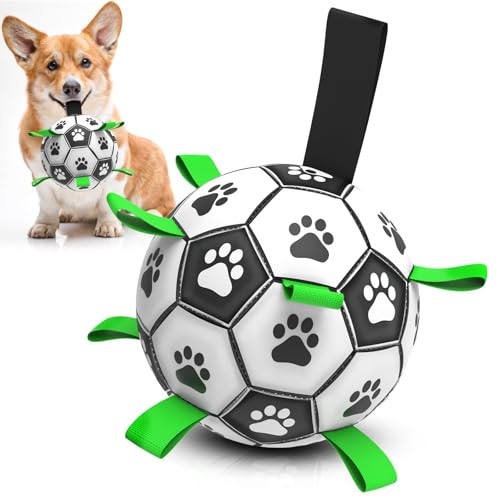 HundeBälle unzerstörbar Hundespielzeug Ball, Hund Fußball Hundespielzeug 15CM Interaktiver Schwimmender Ball mit Ballpumpe und Nadel Innen & Außen Spielzeug Hund Ball für kleine und mittelgroße Hunde von Wenrecu