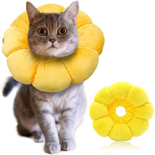 Wenrecu Halskrause Katze, Einstellbarer Halskrause Katze Halsband für Katzen Kleiner Hunde Nach Operation, Weich Sonnenblume Katze Wiederherstellung Halsband Kragen Cone, M von Wenrecu