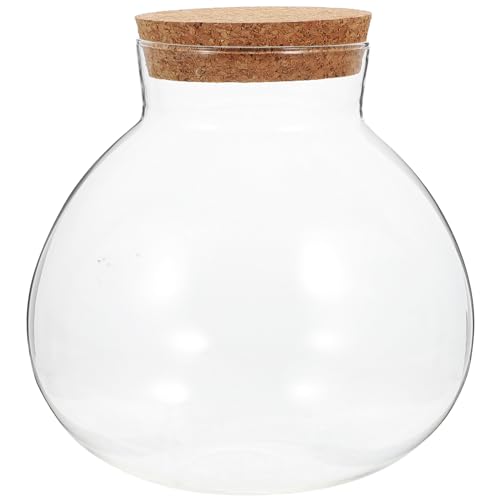 Wensmy Glasflasche Hydrokultur Terrarium Behälter Rund Sukkulenten Pflanze Terrarium Glasvase mit Deckel Hydrokultur Glas Terrarium Behälter Glas Luftpflanzen Terrarium für Pflanzen von Wensmy