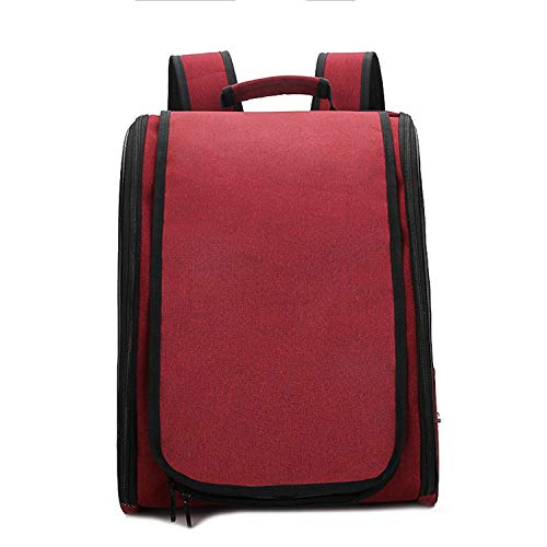 Wenxiufong Vogel Transporttasche Papagei Rucksack wasserdichte Leinwand Bird Carrier Backpack Tragbar Vogelträger mit Schiebefach Sitzstange Vogelkäfig Rucksack von Wenxiufong