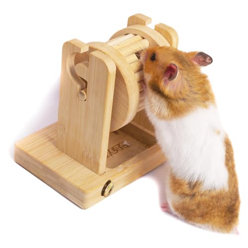 Wepets Hamster-Anreicherungs-Spielzeug für Futtersuche, Ratten-Anreicherungsspielzeug für Haustier-Ratten, Hamster (Zwerg, Syrer, Robo, Chinesisch), Mäuse, Rennmäuse von Wepets