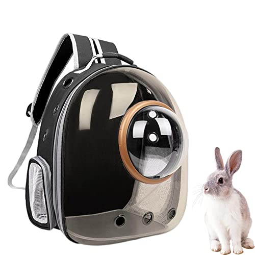 Bubble Pet Carrier-Rucksack, Pet Carrier-Rucksack, Back To School btss, Trailmakerr-Rucksack mit Mesh-Haustier-Rucksack, Clear Bubble Pet Carrier-Rucksack, Dog Carrier Travel, Sicherheitsfunktionen un von Weppduk