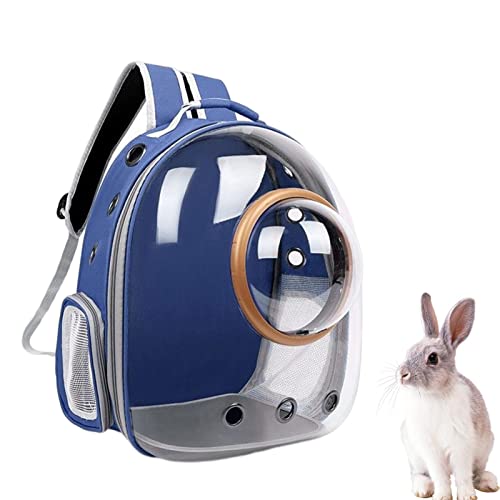 Bubble Pet Carrier-Rucksack, Pet Carrier-Rucksack, Back To School btss, Trailmakerr-Rucksack mit Mesh-Haustier-Rucksack, Clear Bubble Pet Carrier-Rucksack, Dog Carrier Travel, Sicherheitsfunktionen un von Weppduk