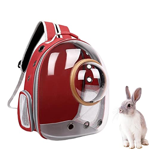 Bubble Pet Carrier-Rucksack, Pet Carrier-Rucksack, Back To School btss, Trailmakerr-Rucksack mit Mesh-Haustier-Rucksack, Clear Bubble Pet Carrier-Rucksack, Dog Carrier Travel, Sicherheitsfunktionen un von Weppduk