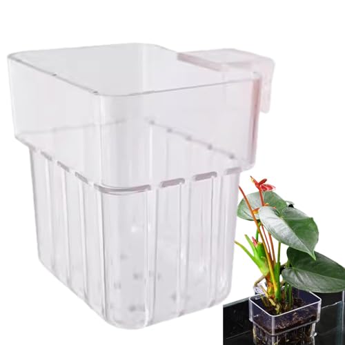 Weppduk ?Aqua Flora Heaven: Enhance the peacefulity and beauty of your Aquarium with this plant holder. Use it to create a abundant and serene underwater green atmosphere, types of aquatic pla von Weppduk