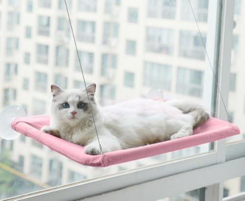 Katzen-Fensterstange mit robusten Saugnäpfen, kein Bohren, Katzenhängematte für Indoor-Katzen, rutschfestes Sonnenbett mit Sicherheitsverriegelungssystem (Rosa) von Werwing