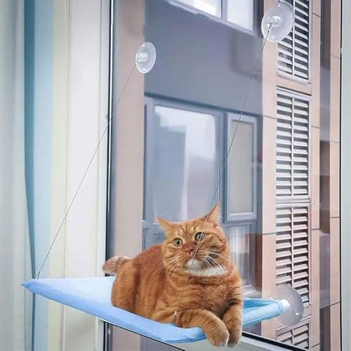 Katzen-Fensterstange mit robusten Saugnäpfen, kein Bohren, Katzenhängematte für Indoor-Katzen, rutschfestes Sonnenbett mit Sicherheitsverriegelungssystem (blau) von Werwing