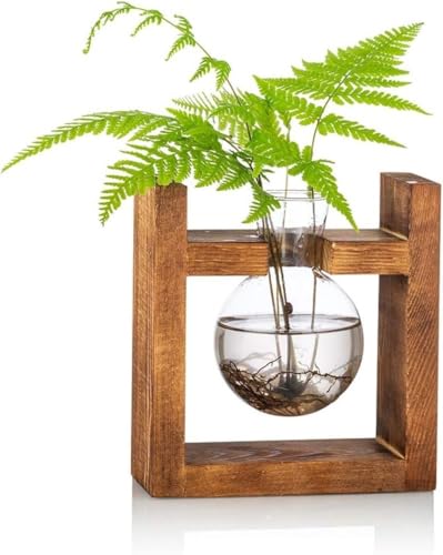 Retro-Glaszwiebel-Terrarium mit Massivholzständer, drehbarer Metallhalter für Hydrokulturpflanzen, Desktop-Wasser-Gartenvase für Zuhause, Hochzeitsdekoration (1 Glühbirne) von Werwing