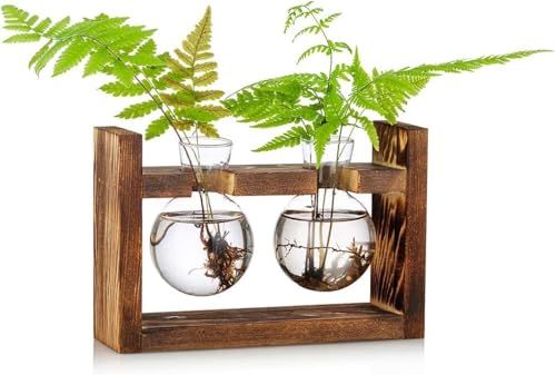 Retro-Glaszwiebel-Terrarium mit Massivholzständer, drehbarer Metallhalter für Hydrokulturpflanzen, Desktop-Wasser-Gartenvase für Zuhause, Hochzeitsdekoration (2 Glühbirnen) von Werwing