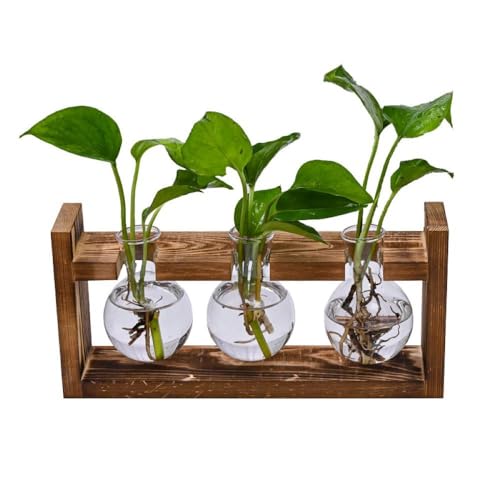 Retro-Glaszwiebel-Terrarium mit Massivholzständer, drehbarer Metallhalter für Hydrokulturpflanzen, Desktop-Wasser-Gartenvase für Zuhause, Hochzeitsdekoration (3 Glühbirnen) von Werwing