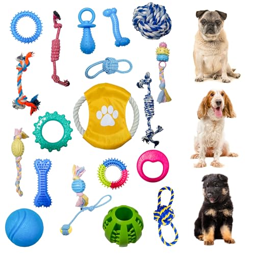 Kauspielzeug für Welpen, Hundespielzeug mit Seilen, Kauspielzeug für Welpen, Leckerli-Ball und quietschendes Welpenspielzeug zum Zahnen, für kleine und mittelgroße Hunde, 20 Stück von Weskur