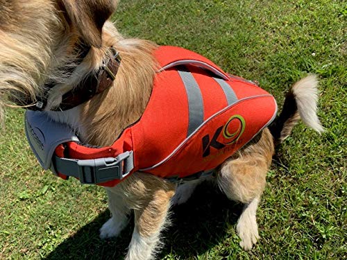 K9 AquaFloat (Small, Orange), professionelle Hundeschwimmwesten, für den regelmäßigen Einsatz im Pool und für Spaß auf dem Wasser von Westcoast