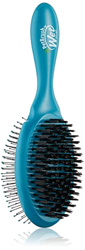 Wet Brush Ultimate doppelseitige Entwirrungsbürste – Ultraweiche IntelliFlex-Borsten, entfernt lose Haare und Schmutz für Hunde, Katzen, Kaninchen, Blaugrün von Wet Brush