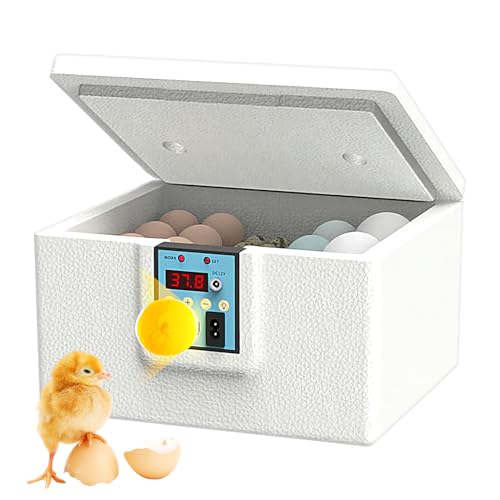 Wezalget Brutapparate Für Die Eierausbrütung | Automatische Entenküken Brutbox,Tragbares Automatisches Brutgerät Für Kleinbauern Und Hobbyhalter Wezalget Brutapparate Für Die Eierausbrütung | Automatische Entenküken Brutbox,Tragbares Automatisches Brutgerät Für Kleinbauern Und Hobbyhalter von Wezalget