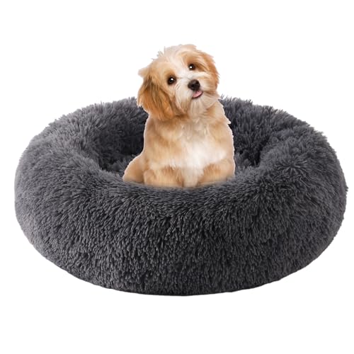 WgoogW Kleines Hundebett, Katzenbetten für Hauskatzen, beruhigendes Anti-Angst-Donut-Bett für Welpen und Kätzchen, waschbares, rundes flauschiges Haustierbett für kleine, mittelgroße Hunde und Katzen von WgoogW