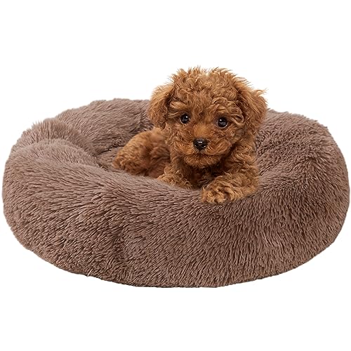 WgoogW Beruhigendes Hundebett, Hundebetten für kleine Meliumhunde, flauschiges Donut-Hunde- und Katzenbett, waschbar, rund, Anti-Angst-Hundebett, kleines Hundebett mit rutschfester Unterseite (Shag von WgoogW