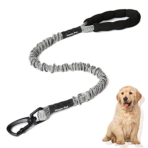 Elastisches Zugseil für Hunde, Hundeleine aus Nylon, Hundeleinen Große Hunde, Robuste Trainingsleine, mit Bequemen Gepolsterten Griff und Karabiner, für Kleine & Große Hunde von Whcctl