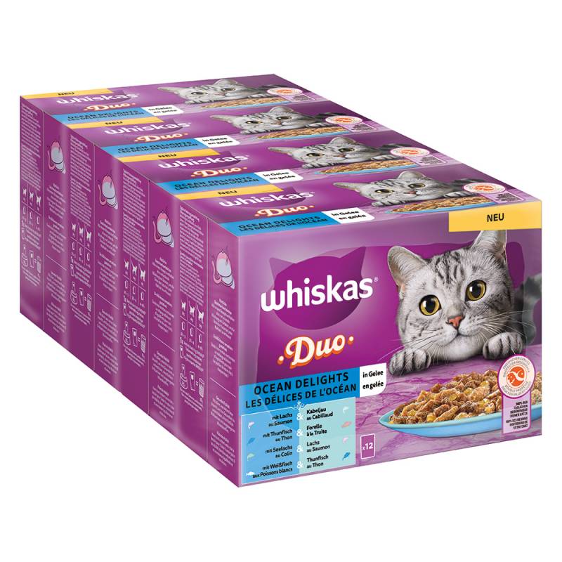 Jumbopack WHISKAS DUO Portionsbeutel 96 x 85 g - Ocean Delights in Gelee von Whiskas