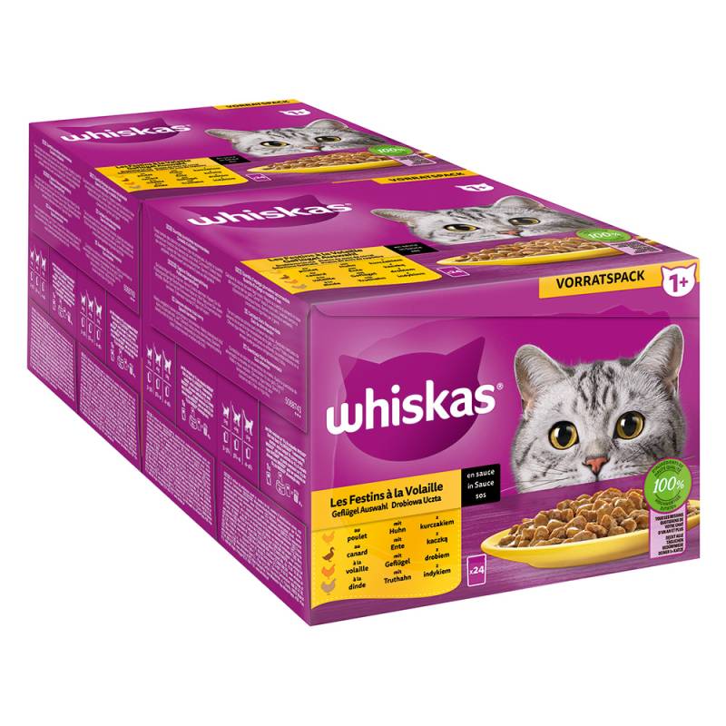 Jumbopack Whiskas 1+ Adult Frischebeutel 96 x 85 g - Geflügel Auswahl in Sauce von Whiskas