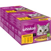 Jumbopack Whiskas 1+ Adult Frischebeutel 96 x 85 g - Geflügelauswahl in Sauce von Whiskas