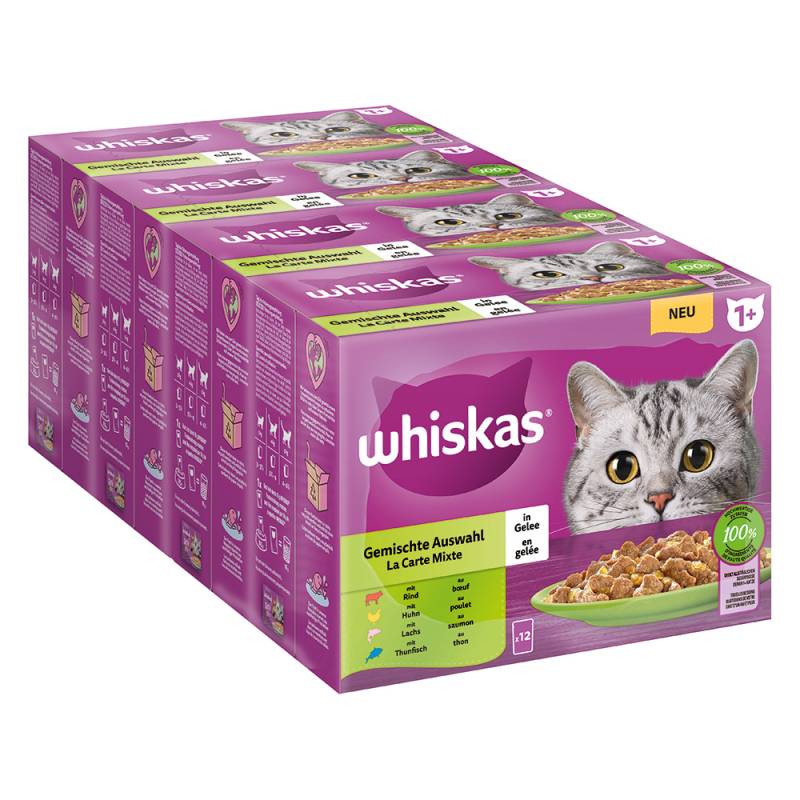 Jumbopack Whiskas 1+ Adult Frischebeutel 96 x 85 g - Gemischte Auswahl in Gelee von Whiskas