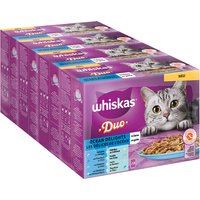 Jumbopack Whiskas Duo Portionsbeutel 96 x 85 g - Ocean Delights in Gelee von Whiskas