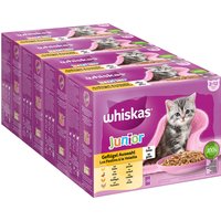 Jumbopack Whiskas Junior Frischebeutel 144 x 85 g - Geflügelauswahl in Gelee von Whiskas