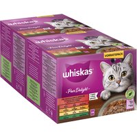 Jumbopack Whiskas Pure Delight Portionsbeutel 96 x 85 g - Klassisches Ragout in Gelee von Whiskas