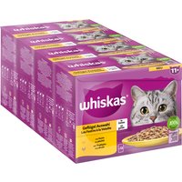 Jumbopack Whiskas Senior Frischebeutel 144 x 85 g - 11+ Geflügelauswahl in Gelee von Whiskas