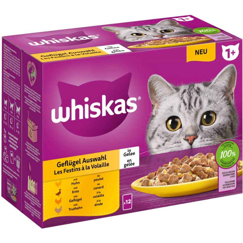 Megapack Whiskas 1+ Adult Frischebeutel 24 x 85 g - Geflügel Auswahl in Gelee (24 x 85 g) von Whiskas