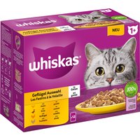 Megapack Whiskas 1+ Adult Frischebeutel 24 x 85 g - Geflügel Auswahl in Gelee von Whiskas