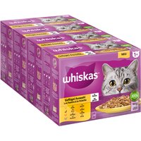 Megapack Whiskas 1+ Adult Frischebeutel 48 x 85 g - Geflügelauswahl in Gelee von Whiskas