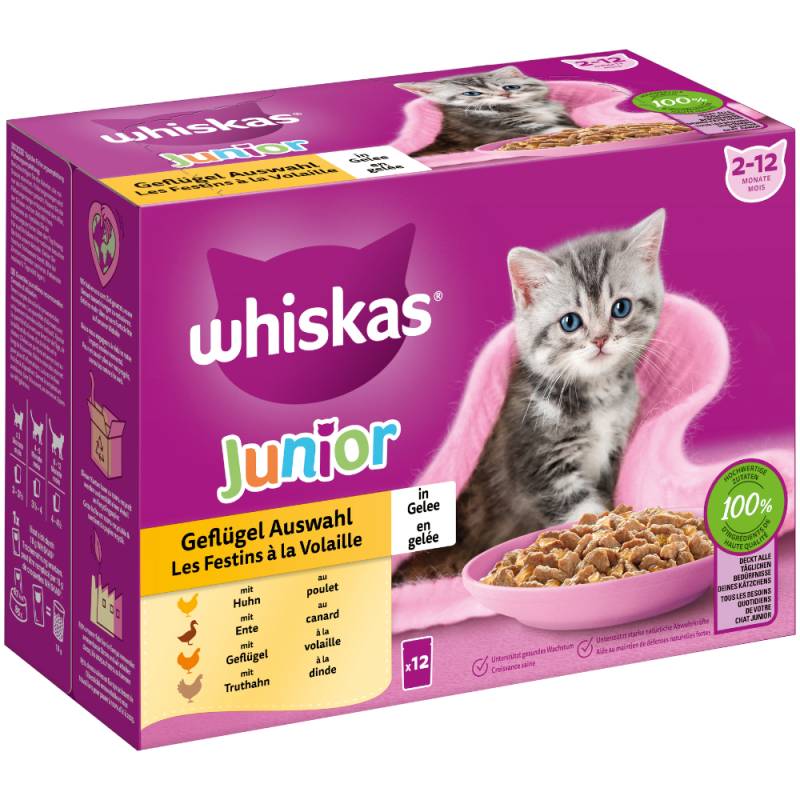 Multipack Whiskas Junior Frischebeutel 12 x 85 g - Geflügelauswahl in Gelee von Whiskas