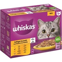 Whiskas Multipack 1+ Geflügel Auswahl in Gelee 12 x 85g von Whiskas