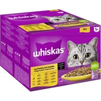 Whiskas Multipack 1+ Geflügel Auswahl in Sauce 24 x 85g von Whiskas