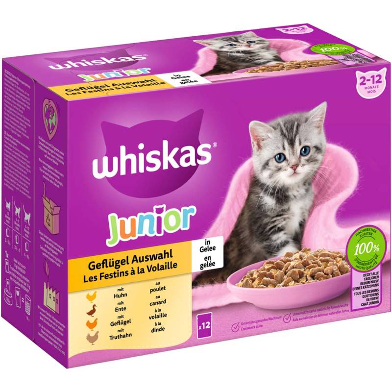 Whiskas Multipack Junior Geflügel Auswahl in Gelee 12x85g von Whiskas