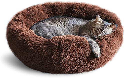 Whiskers & Friends Katzenbett, Katzenbetten für Indoor-Katzen Waschbar, für kleines Katzenbett, großes Katzenbett, Kätzchenbett, kleines Hundebett, Anti-Angstberuhigendes Haustierbett, Katzenbetten & von Whiskers & Friends