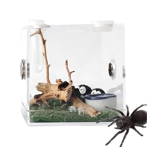 Aufzuchtbox - transparente Insektenfütterungsboxen Spider Middle Habitat | 1 Stück Rektumgehege mit Belüftung aus Metall, Loch für Behälter von Whnbuij