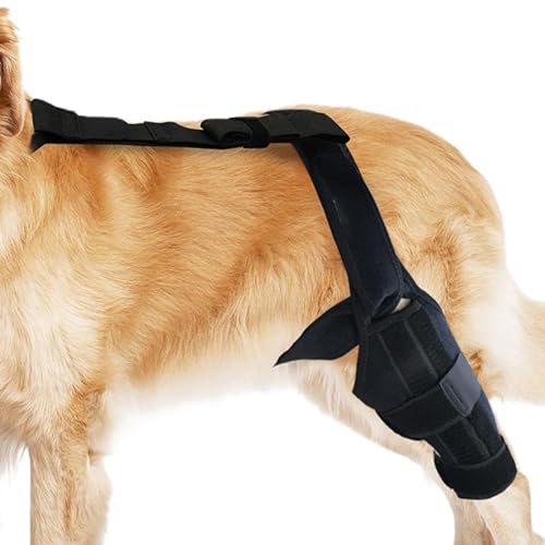 Hosenträger für Hinterbeine für kleine Hunde, Kniebandage für Hunde – ACL Kniebandage für Hunde, Stabilisator des hinteren Beins für Hunde von Whnbuij