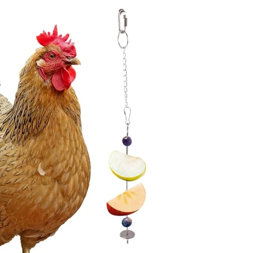 Sittich-Futterspender für Vogelkäfig,Vogelfutterspender für Käfig - -Leckerli-Halter, Vogelfutterspender,Futterspender für Obst- und Gemüsespieße, Futterspielzeug aus Edelstahl, Zubehör für Vogelkäfig von Whnbuij